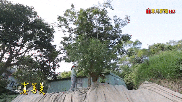 1759983953479676.gif