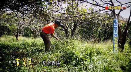 1760101908937284.gif