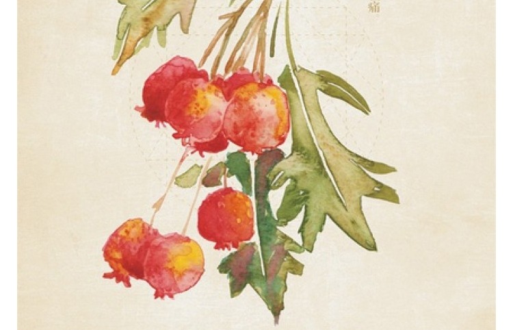 imgi_19_1738829123258318.jpg