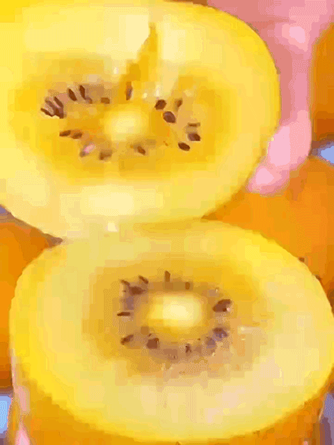 1760927996889431.gif 1760927996889431.gif