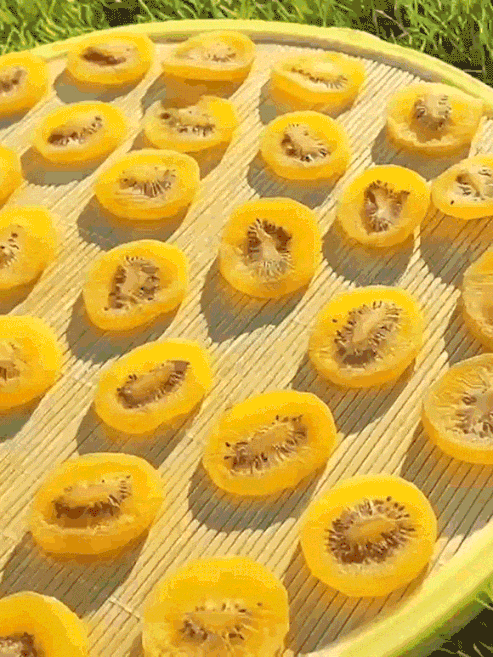 1760928341845554.gif 1760928341845554.gif