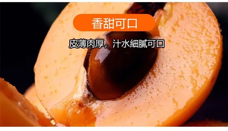 imgi_30_1736863628820220.jpg