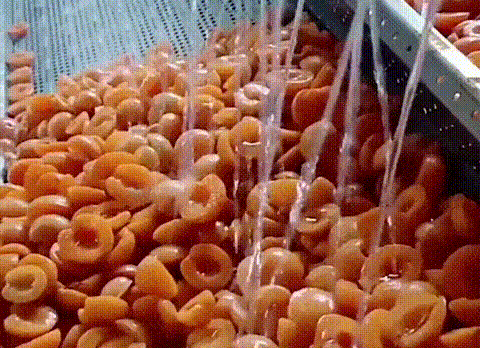 1761115466718198.gif