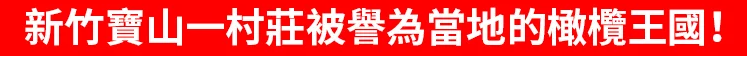 1761616441934560.png 1.1.png